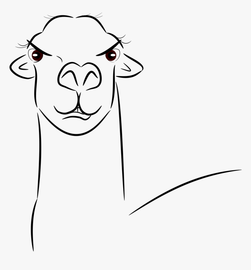 Transparent Llama Head Png - Llama, Png Download