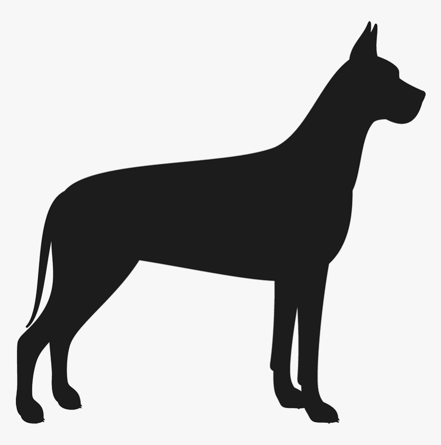 Llama Silhouette Clip Art - Great Dane Silhouette Transparent, HD Png Download