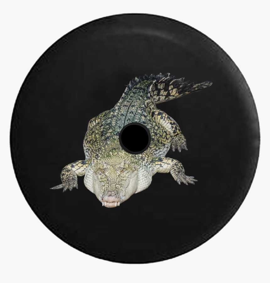 Jeep Wrangler Jl Backup Camera Alligator Crocodile - Reptile, HD Png Download