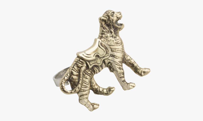 Bronzetigerring, HD Png Download