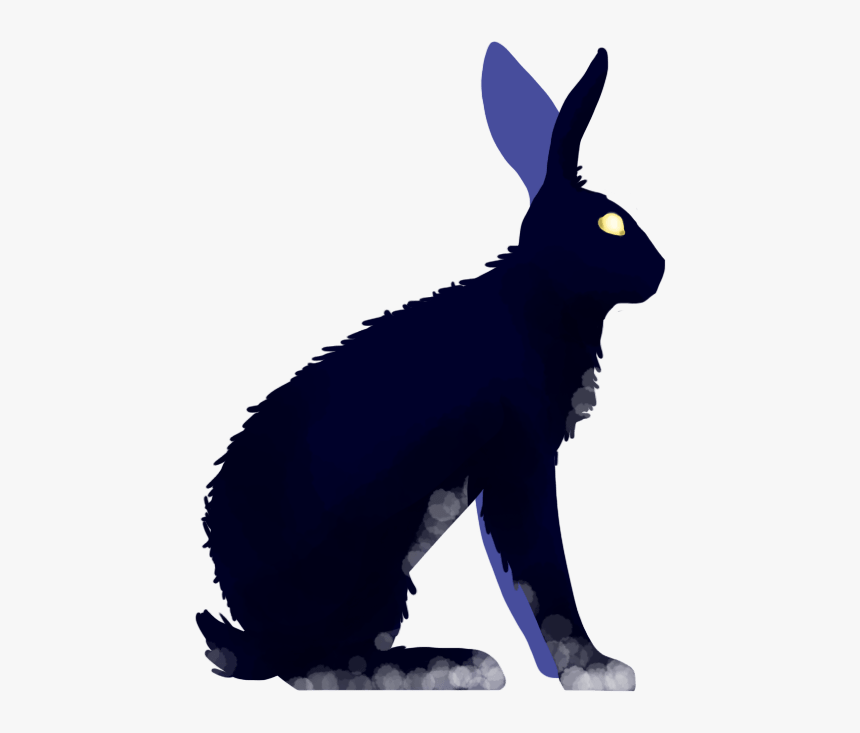 Domestic Rabbit, HD Png Download