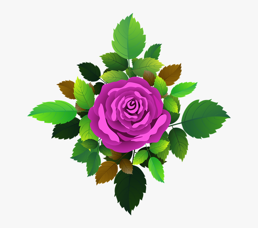 Roses, Flowers, Floral, Romantic, Rose Bush, Bouquet - Floribunda, HD Png Download