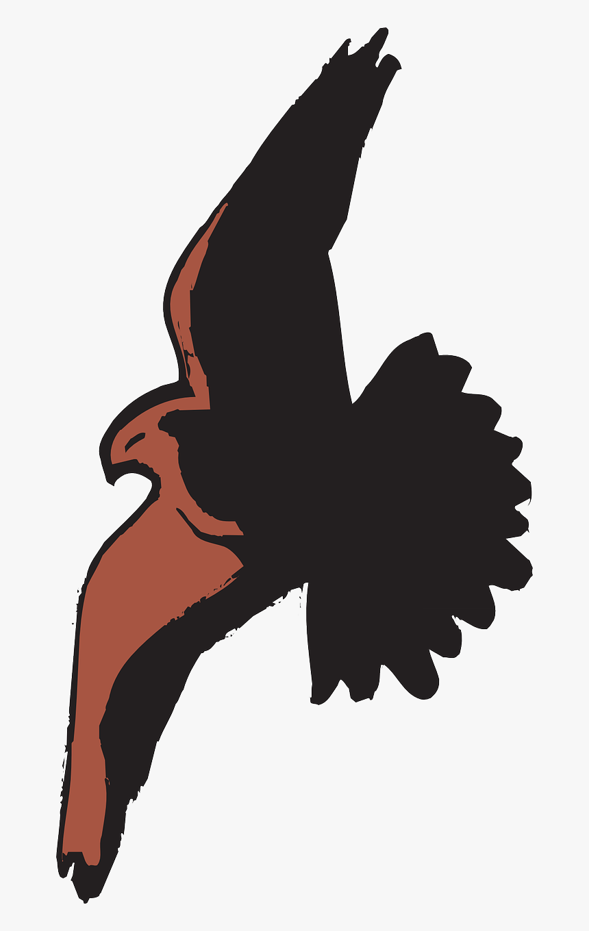 Flying Eagle Illustration Png, Transparent Png