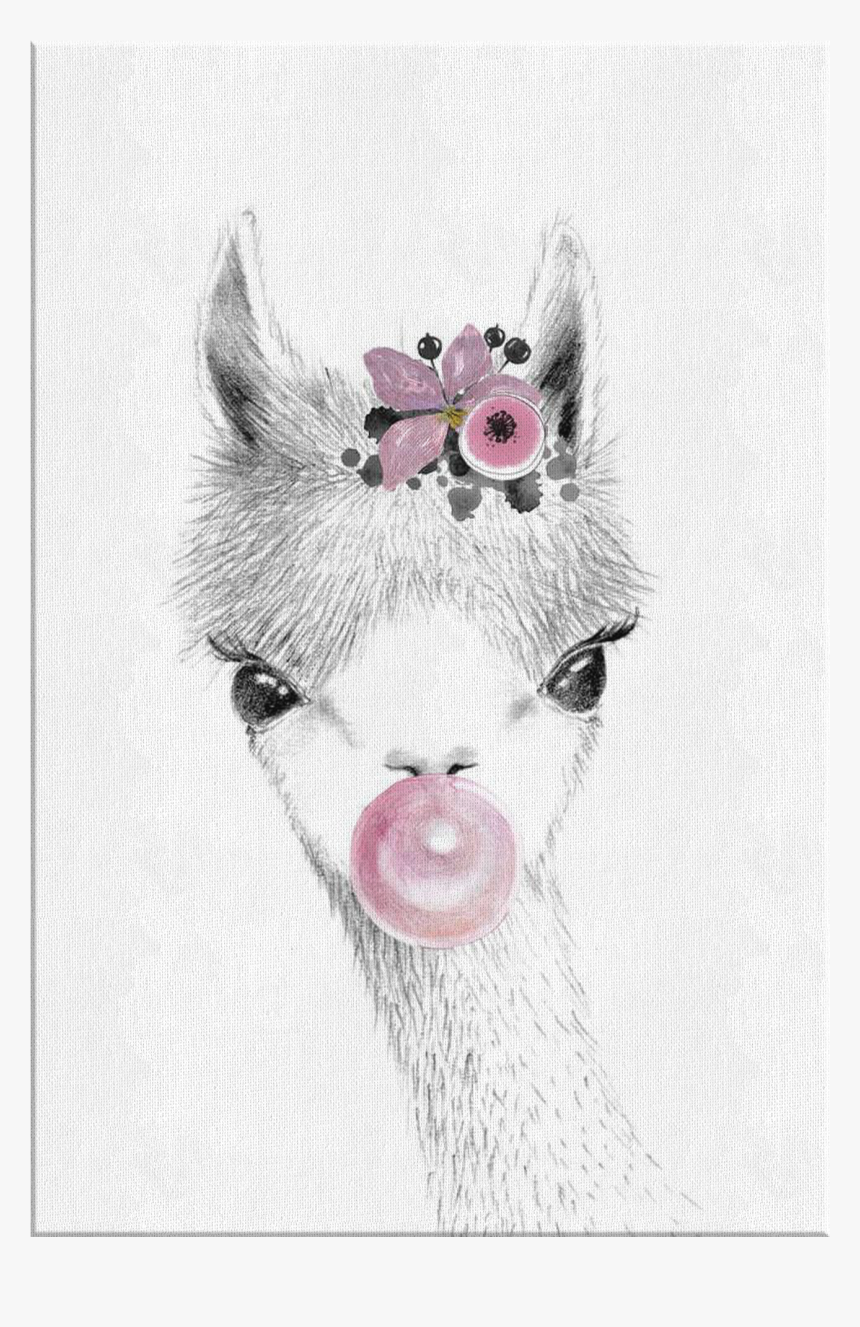 Vicuña Dibujada A Lapiz, HD Png Download