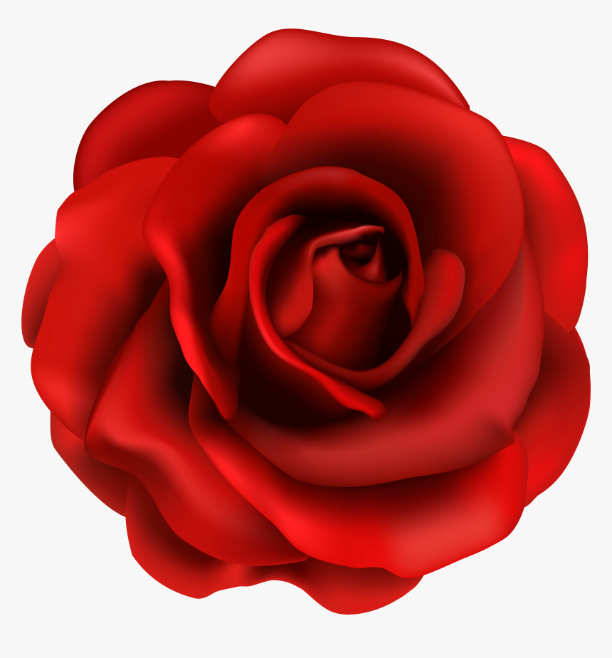 Red Flower Png - National Flower Of Us, Transparent Png