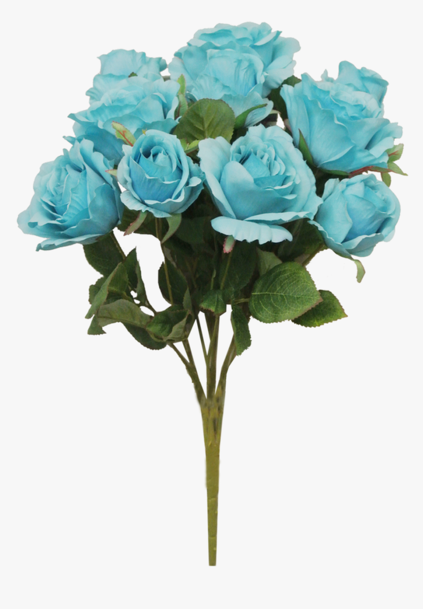 Turquoise - Garden Roses, HD Png Download