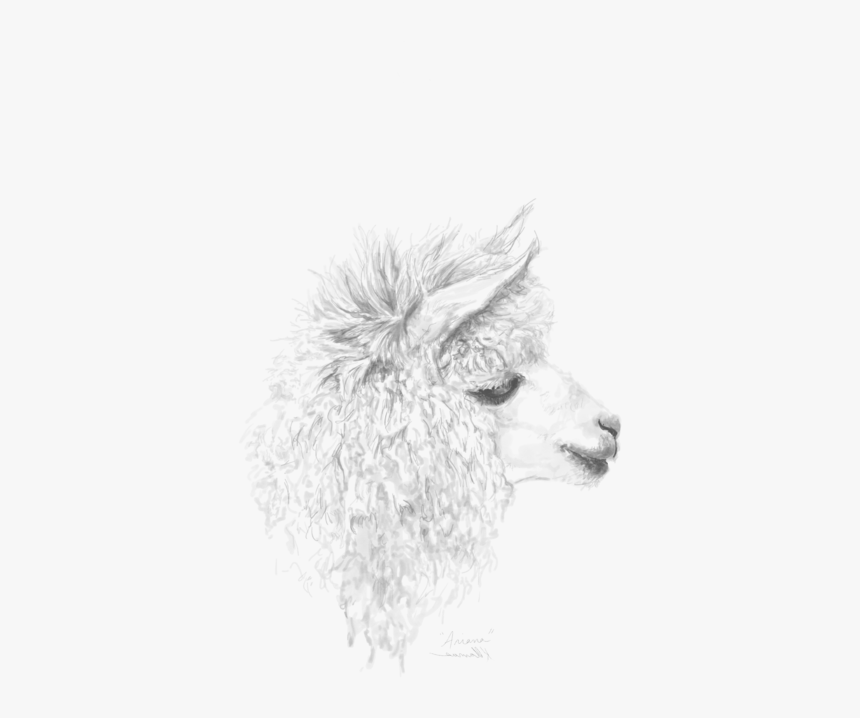 Sketch, HD Png Download