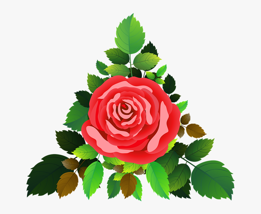 Roses, Flowers, Floral, Romantic, Rose Bush, Bouquet - Floribunda, HD Png Download
