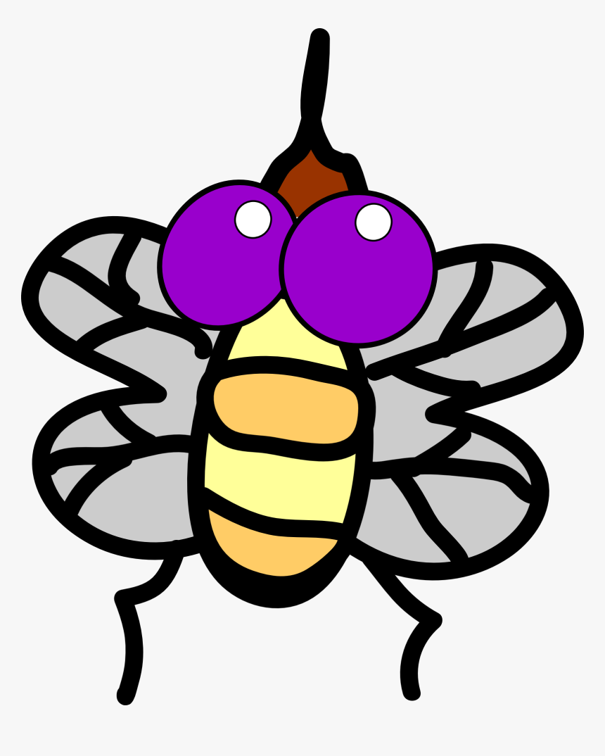 Flies Clipart Insect Wing - Fly Clip Art, HD Png Download