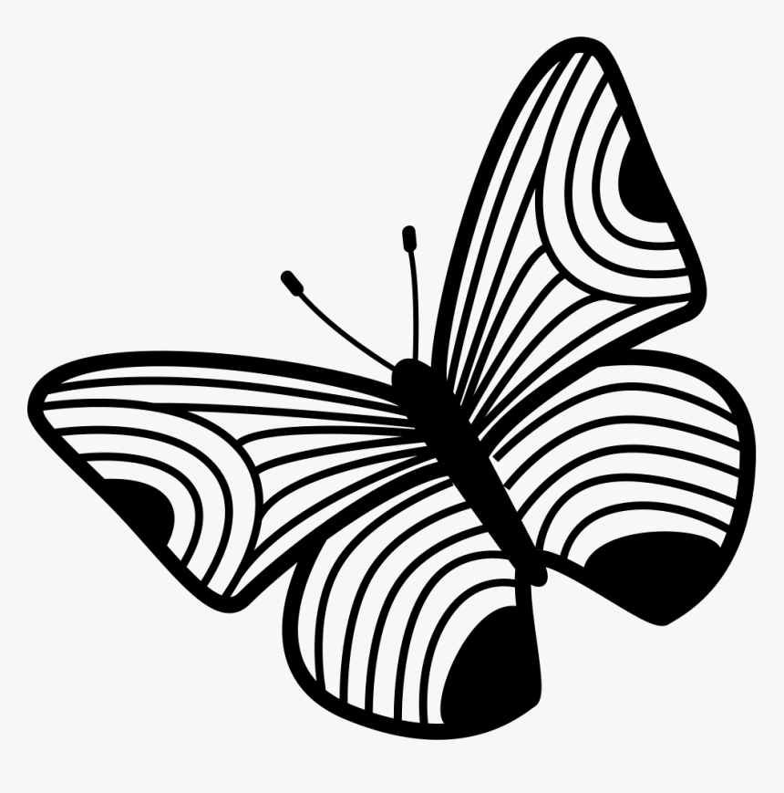 Butterfly Design Of Thin Stripes Wings - Portable Network Graphics, HD Png Download