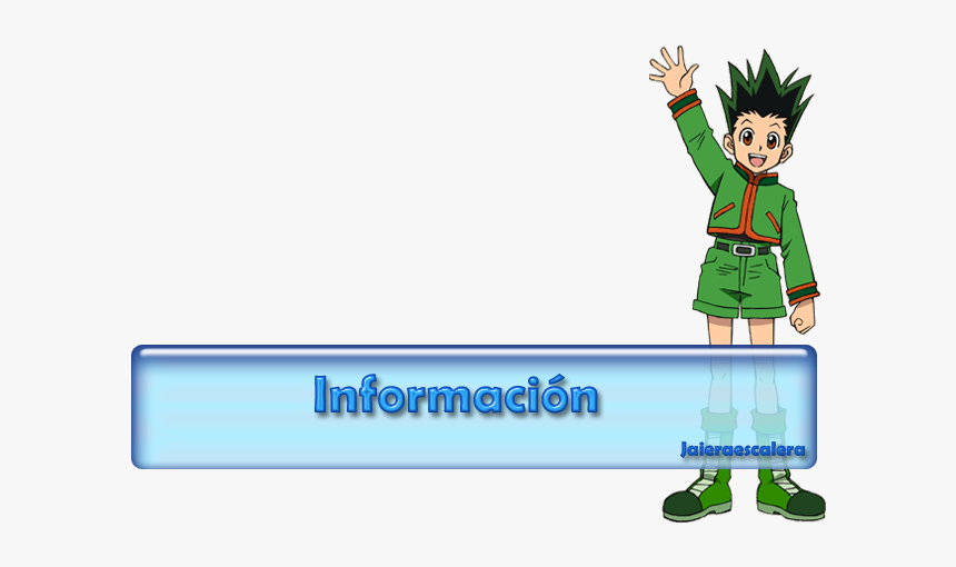 Hunter X Hunter Protagonist, HD Png Download