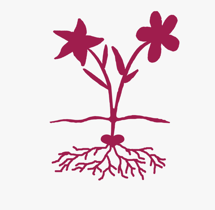 Picture - Foundation, HD Png Download