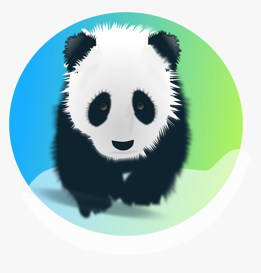Panda, Bear, Giant, Pandas, Endangered, Mammal, Animal - Panda's Png, Transparent Png