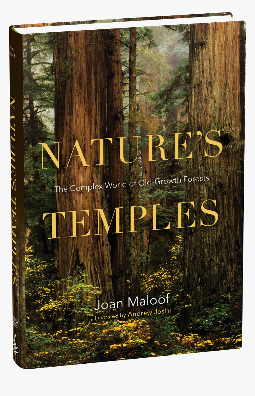 Cover, HD Png Download