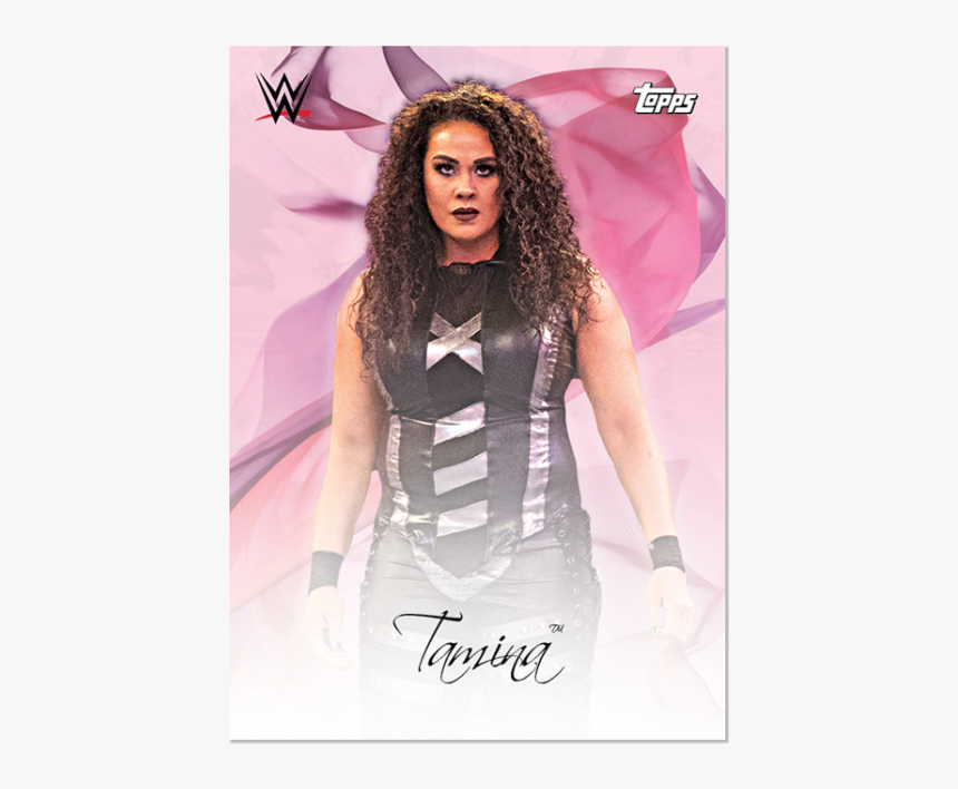 2019 Topps On Demand Set - Wwe, HD Png Download