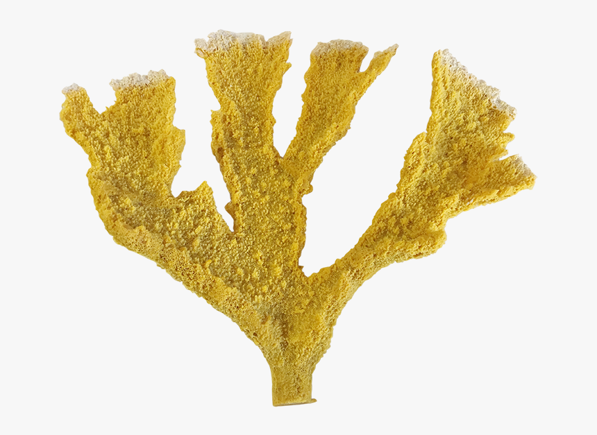 Plane, HD Png Download