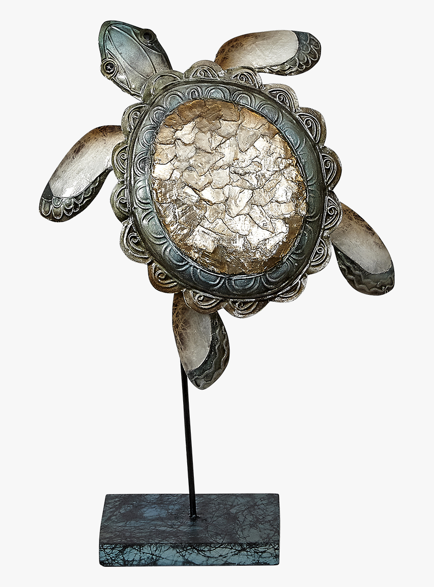 Ruffle Turtle Green Tan - Sea Turtle, HD Png Download