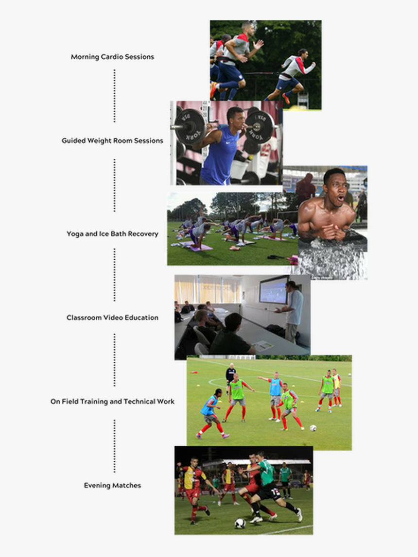 Picture - Collage, HD Png Download