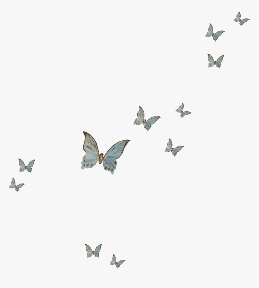 Butterfly Fly Png Download - Clip Art Purple Butterfly, Transparent Png