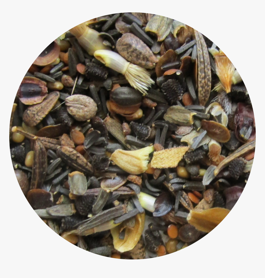 Pebble, HD Png Download