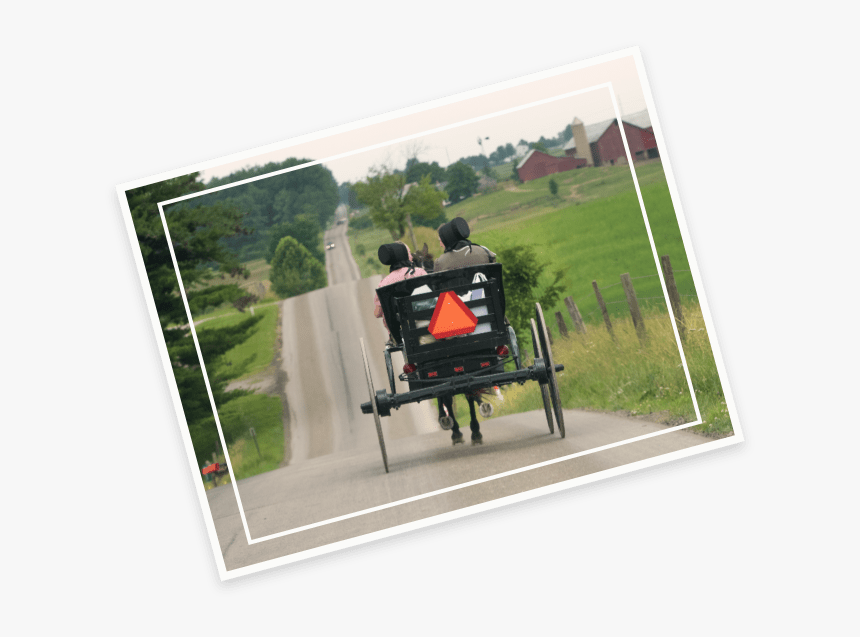 Amish Cart Photo - Carriage, HD Png Download