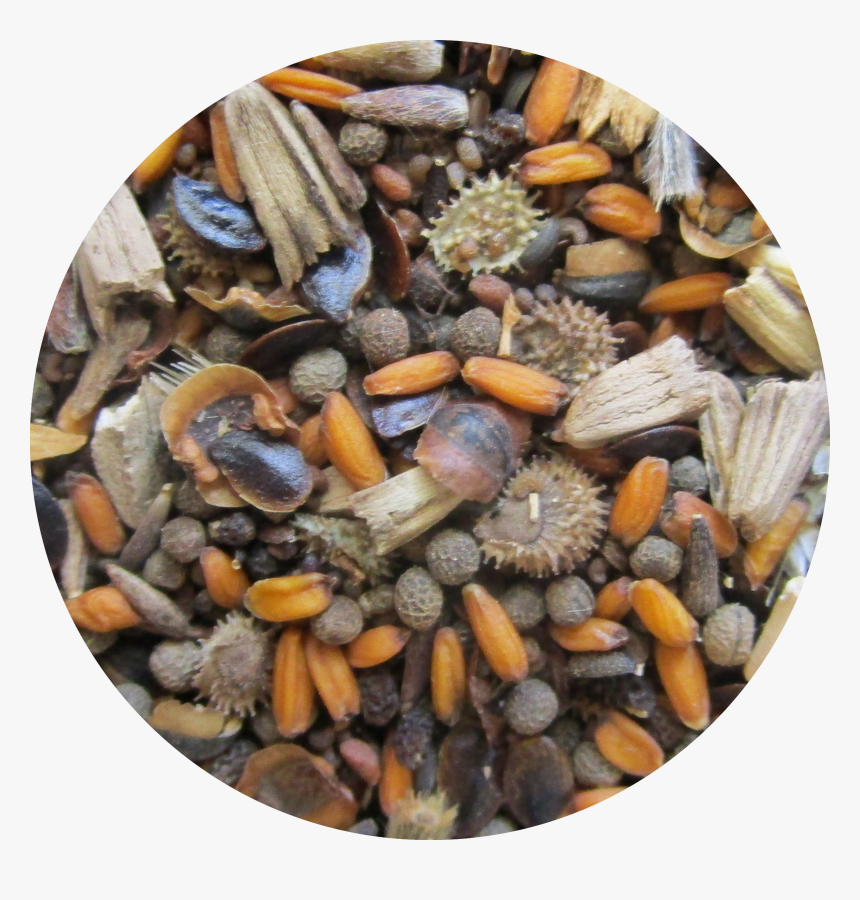 Pebble, HD Png Download