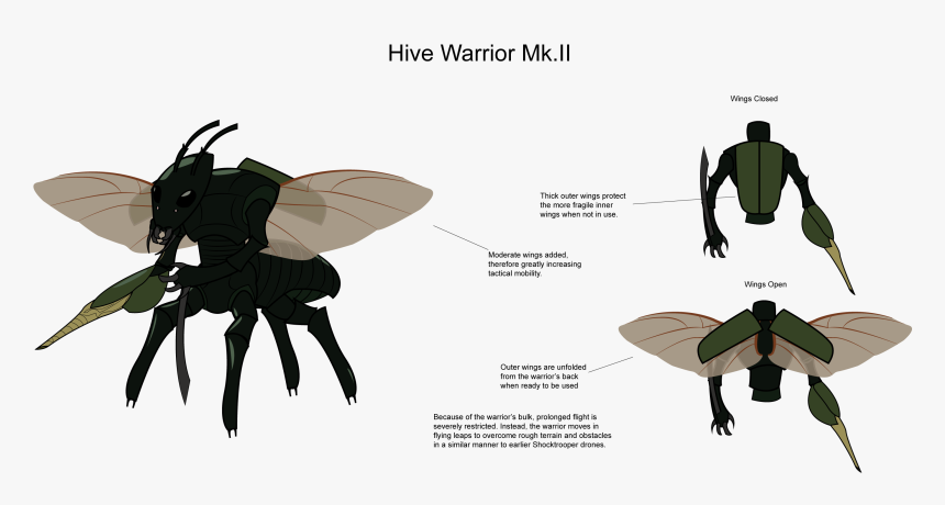 Transparent Angel Wings - Illustration, HD Png Download