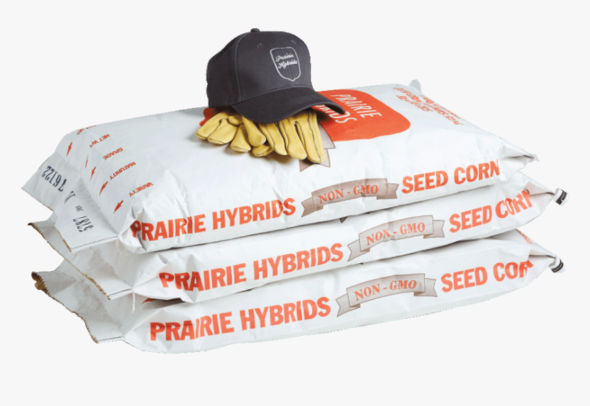 Backpack, HD Png Download