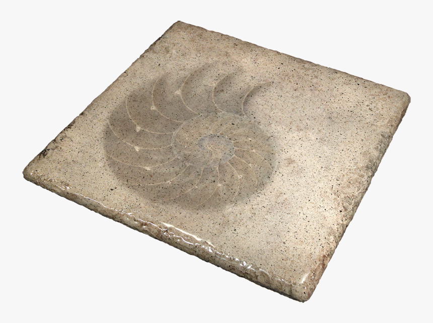 Seashell Stone Table - Circle, HD Png Download