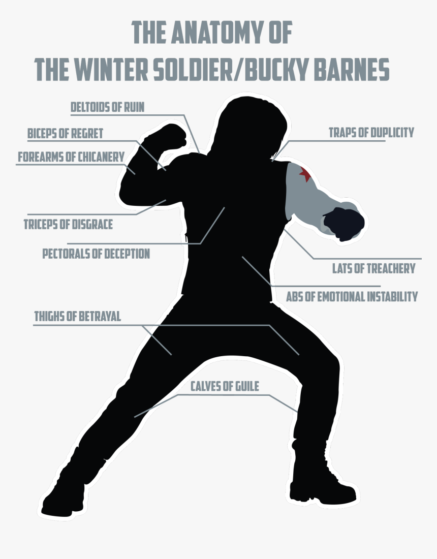 Winter Soldier Anatomy, HD Png Download