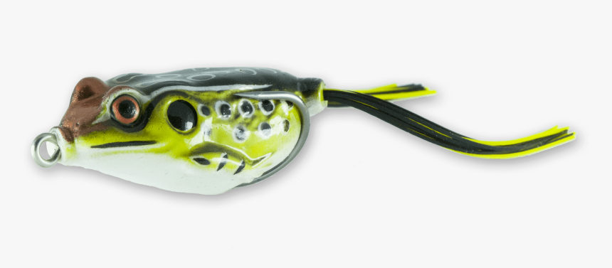Green Pufferfish , Png Download - Green Topwater Frog Transparent, Png Download