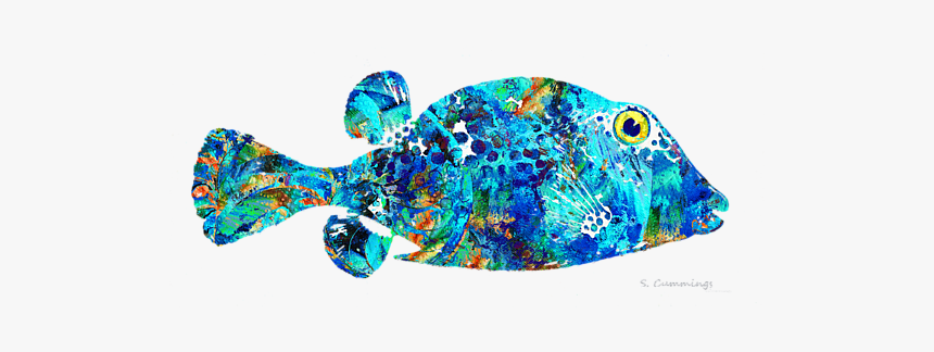 Boxfishes And Trunkfish, HD Png Download