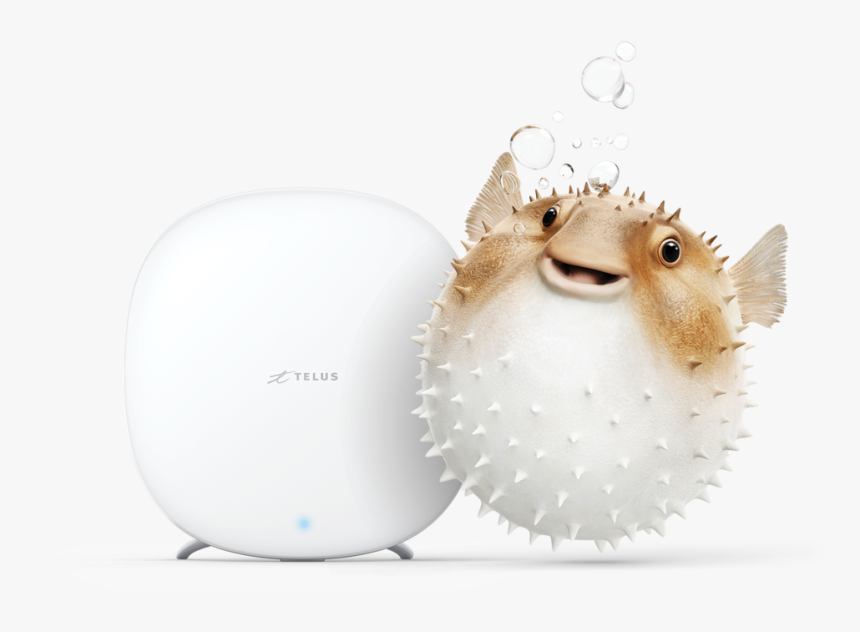 Pufferfish Boost Cmyk Final - Hedgehog, HD Png Download