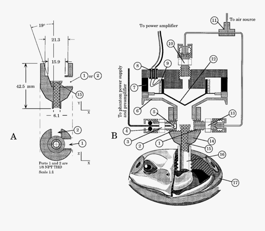 Diagram, HD Png Download