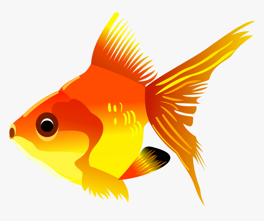 Swimmer Clipart Fish - Golden Fish Clipart, HD Png Download