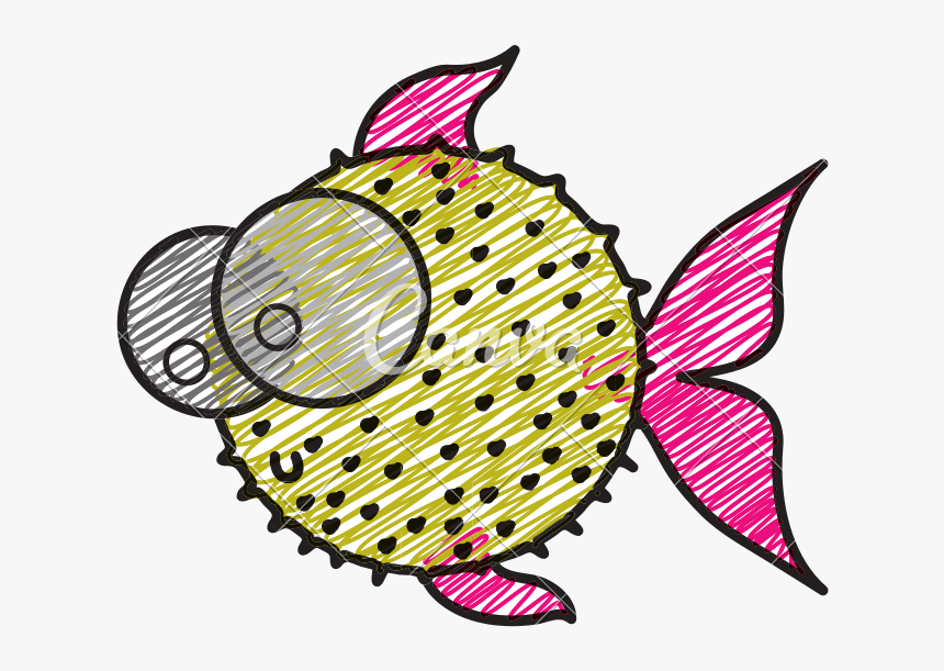 With Big Eyes Icons - Blowfish Drawing, HD Png Download