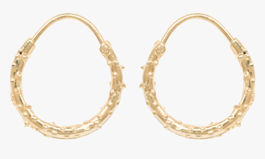 14kt Gold Diamond Cut Hoop Earrings, HD Png Download
