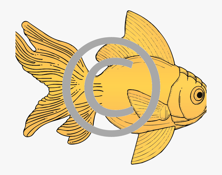 Gold Fish Clip Art, HD Png Download