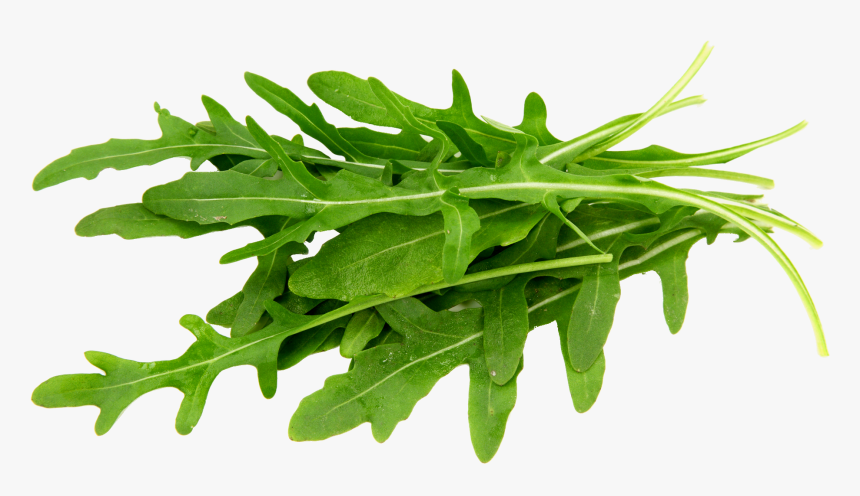 Transparent Arugula Png - Rocket Food, Png Download