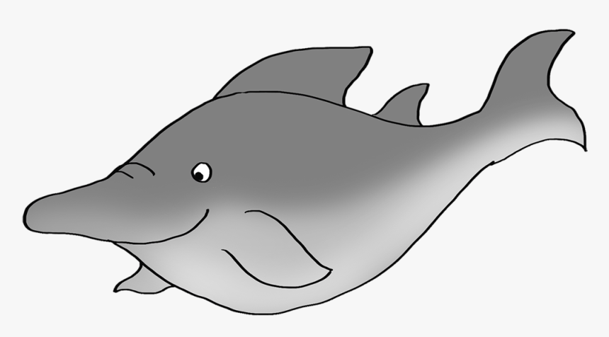 Shark Like Fish Drawing - Cat Fish, HD Png Download