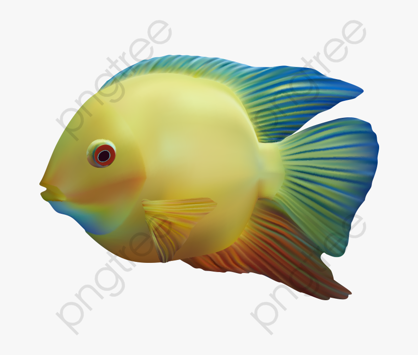 Fish Clipart The Underwater - Clipart Transparent Background Fish Png, Png Download