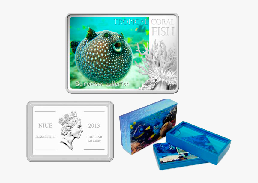 Guinea Fowl Puffer, HD Png Download