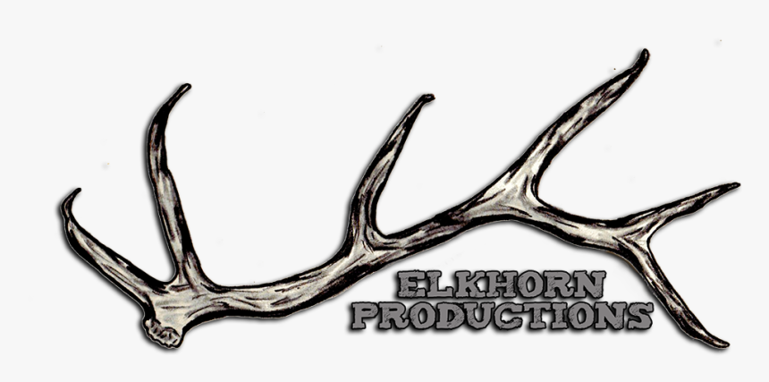Elkhorn Productions - Deer, HD Png Download