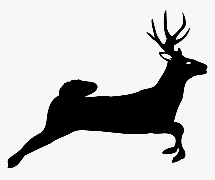 Deer Jumping - White Tailed Deer Silhouette, HD Png Download