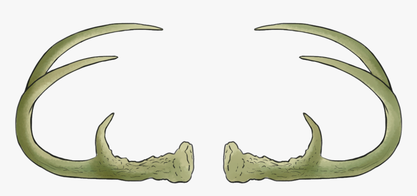 Antler Overlay, HD Png Download