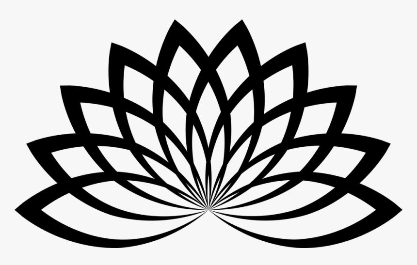Vector Lotus Flower Png, Transparent Png