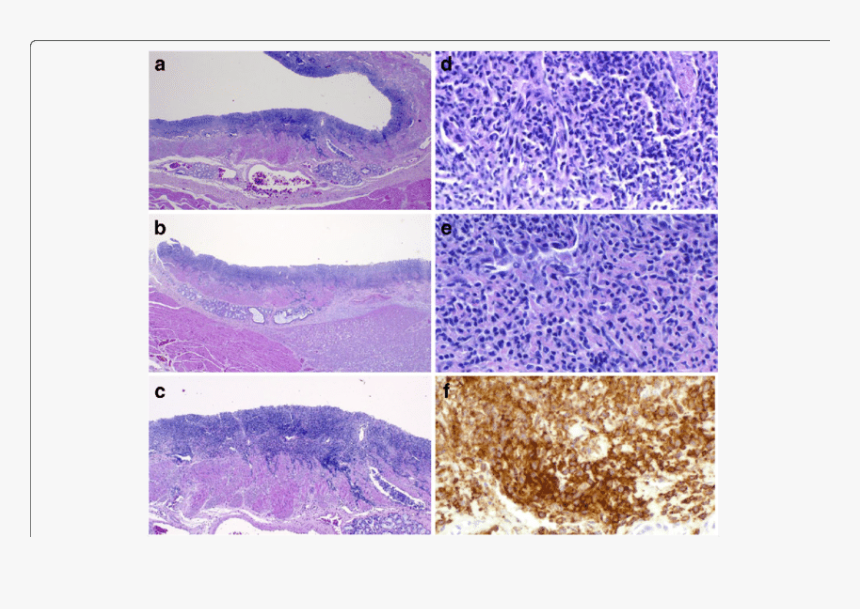 Visual Arts, HD Png Download