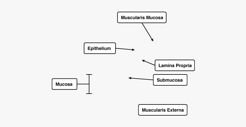 Diagram, HD Png Download