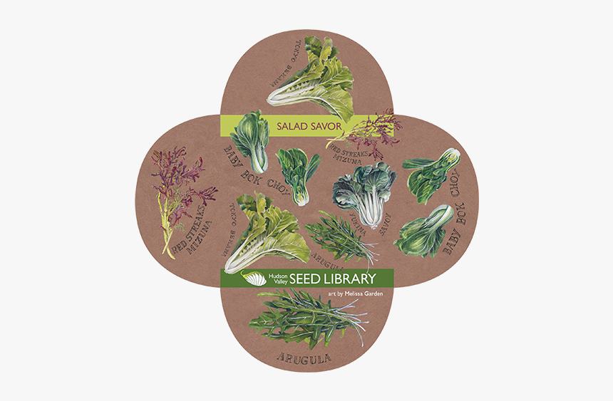 Frog, HD Png Download