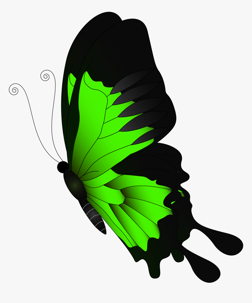 Green Flying Butterfly Png - Red Butterfly Png Transparent, Png Download